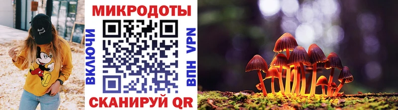 Псилоцибиновые грибы Psilocybine cubensis  Ладушкин 